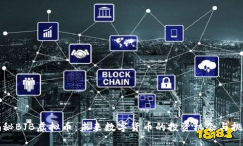 揭秘BJB虚拟币：未来数字货币的投资机会与挑战