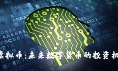 揭秘BJB虚拟币：未来数字货币的投资机会与挑战