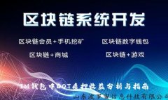 IM钱包中DOT质押收益分析与指南