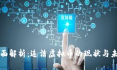全面解析：违法虚拟币的现状与未来