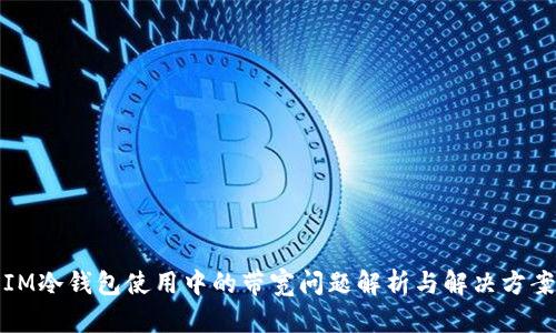 IM冷钱包使用中的带宽问题解析与解决方案