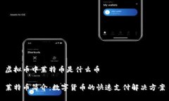 虚拟币中莱特币是什么币莱特币简介：数字货币