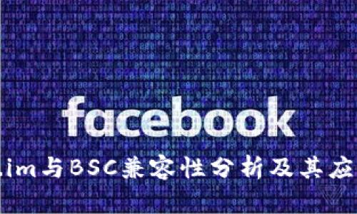 Token.im与BSC兼容性分析及其应用前景