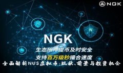 全面解析NUS虚拟币：现状、前景与投资机会