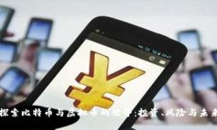 深入探索比特币与虚拟币的世界：投资、风险与