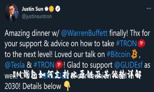 IM钱包如何支持比原链及其优势详解
