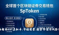 全面解析CVT虚拟币：市场前景、投资价值与风险