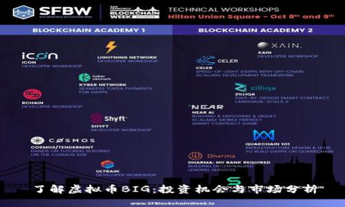 了解虚拟币BIG：投资机会与市场分析