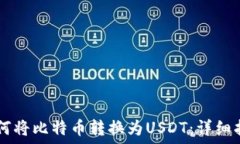   IM钱包如何将比特币转换为USDT：详细指南与技巧