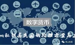 token.im私钥丢失后的处理方案与应对策略