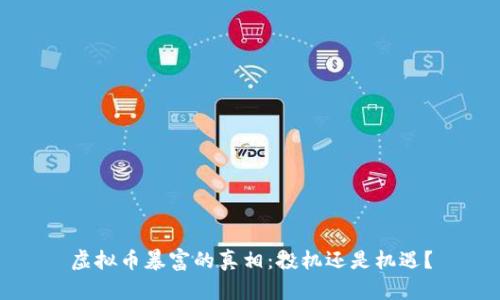 虚拟币暴富的真相：投机还是机遇？
