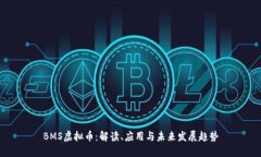 BMS虚拟币：解读、应用与未来发展趋势