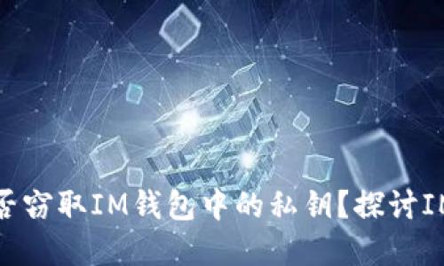 恶意程序能否窃取IM钱包中的私钥？探讨IM钱包安全性