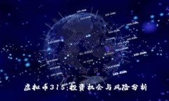 虚拟币315：投资机会与风险分析